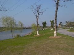 -九里河湿地公园