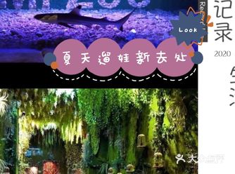 夏天带宝贝去室内动物园|团购惊喜多