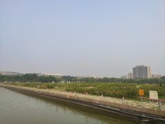 -廊坊文化艺术中心