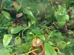 -国家植物园南园