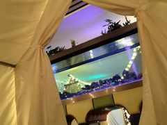 -御池园(顾村公园店)