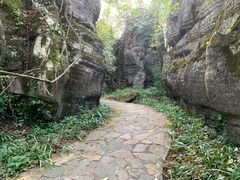 -山王坪喀斯特国家生态公园