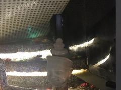 -丽晶大班SPA(大沽店)