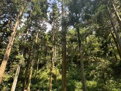 -溪口商量岗景区