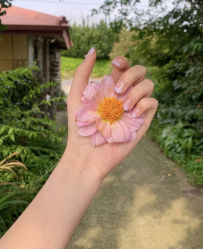 -七月美睫 美甲