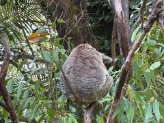 -可伦宾野生动物保护区