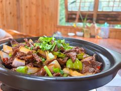 -小小饭店·休闲农庄·安吉松树林里的农家菜
