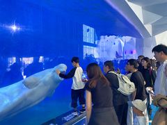 -泉城欧乐堡海洋极地世界