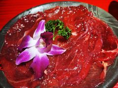 谭公嫩牛肉-谭鸭血老火锅(万象九宜城店)