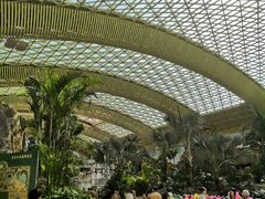 -杭州开元森泊度假乐园