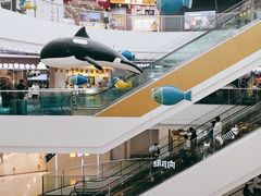 -上海颛桥万达广场