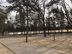 -北京大学(昌平校区)