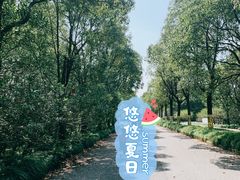 -上海海湾国家森林公园