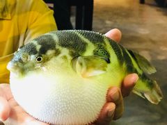 -永安鱼庄·镇江菜(东吴路店)