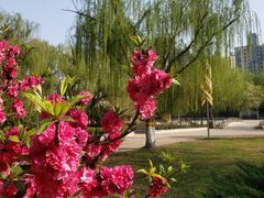 -天津市动物园
