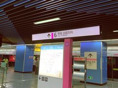 -大龙山(地铁站)