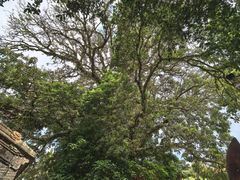 -蔡家宅