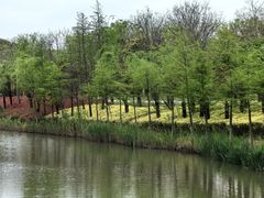 -狼山风景名胜区
