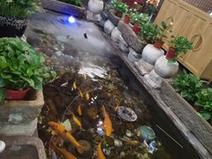 -有梦特色餐厅(古子城店)