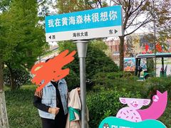 -黄海国家森林公园