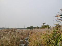 -绿堤公园