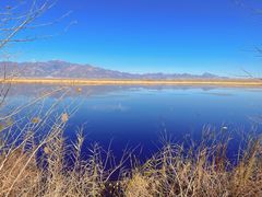 -野鸭湖国家湿地公园