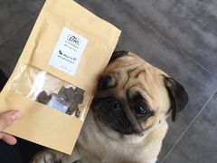 -MOLLY'S萌宠生活馆