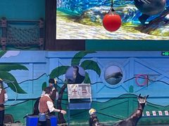 -石家庄极地海洋世界