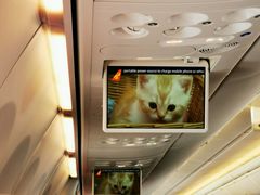 -海南海航航空信息系统公司