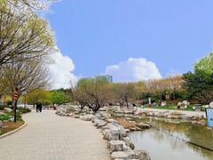 -大望京公园