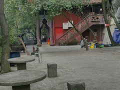 -南山植物园