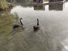 -必胜客(南湖宅急送店)