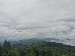 -长虫山生态公园风景林