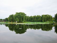 -云居湖
