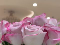 -北京广安门维景国际大酒店