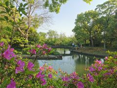 -西溪国家湿地公园