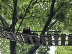 -上海野生动物园