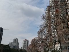 -成都市活水公园