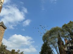 -成都南湖公园