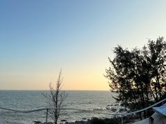 -广东惠东海龟国家级自然保护区
