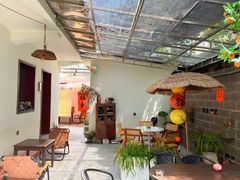 -树咖啡tree coffee