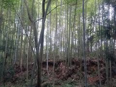 -海窝子古镇