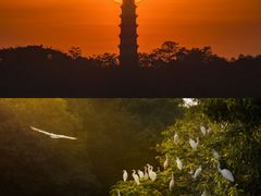 -广州莲花山旅游区