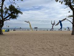 -大梅沙海滨公园