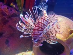 -沈阳海洋探索中心