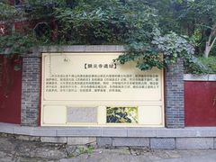 -佛慧山