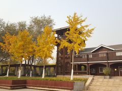 -永定河休闲森林公园