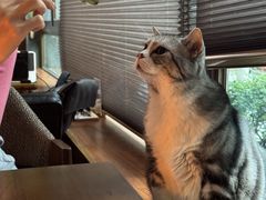 -咖法森林·咖啡  酒吧(天河店)