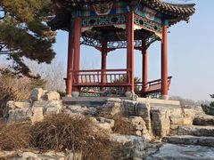 -大兴滨河森林公园