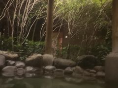 -金凤凰温泉度假村·凤凰汇中餐厅